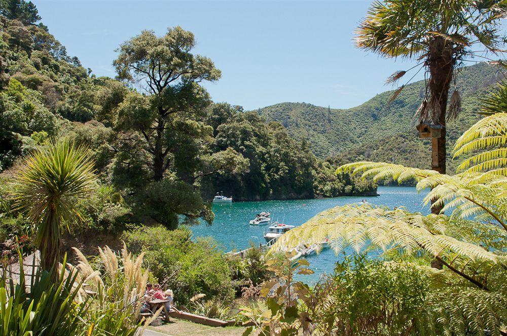 Lochmara Lodge - 20Mins By Boat From Picton Lochmara Bay Zewnętrze zdjęcie