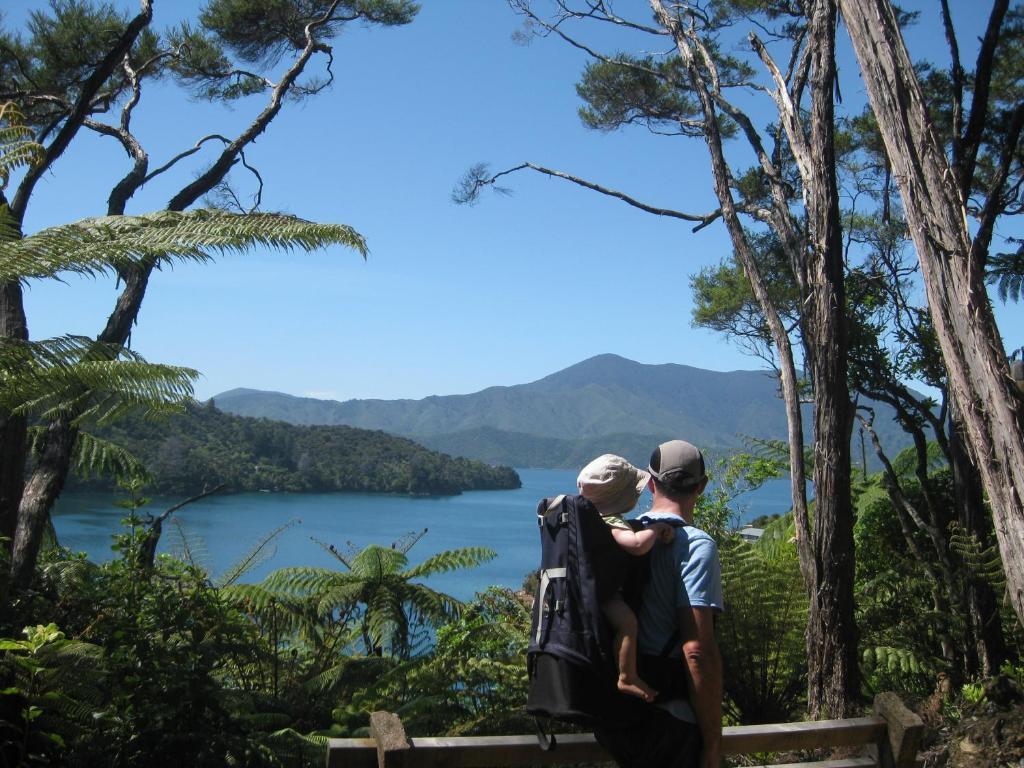 Lochmara Lodge - 20Mins By Boat From Picton Lochmara Bay Zewnętrze zdjęcie